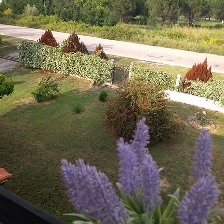 Athina Vourvourou Apartments 외부 사진